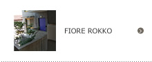 FIORE ROKKO